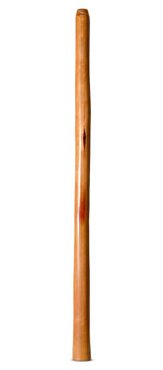 Epoxy Resin Finish Didgeridoo (TM402)